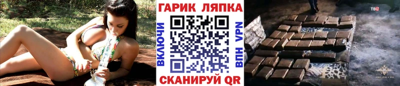 сколько стоит  Павловск  Гашиш AMNESIA HAZE 