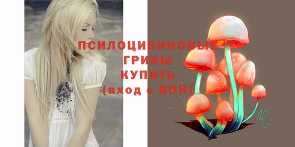 МДМА Арсеньев