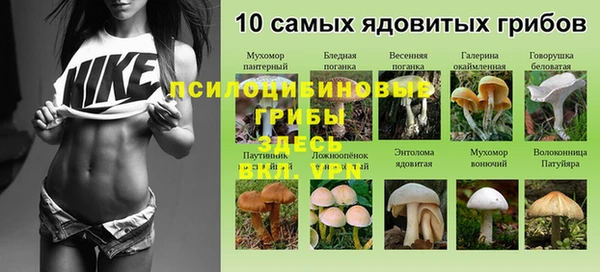 марки nbome Аркадак